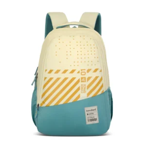 pulse-casual-backpack